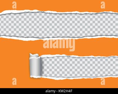 Set vector realistic illustration of orange torn paper with rolled edge on transparent background with frame for text Stock Vector