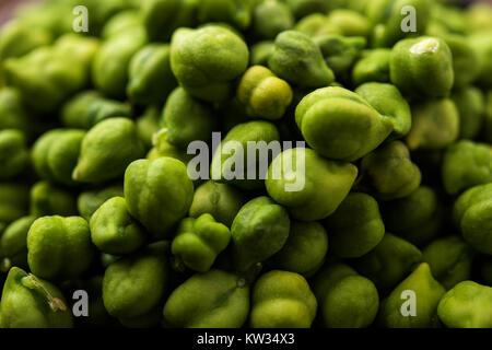 Fresh Green Chickpeas or Chick peas also known as harbara or harbhara in hindi and Cicer is scientific name, served in a wooden bowl or plate. selecti Stock Photo