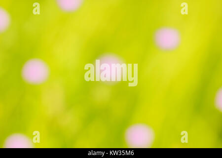 Abstract green blurred background with pink spots of flowers Stock Photo