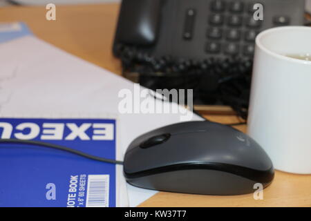 Mouse with computer Stock Photo