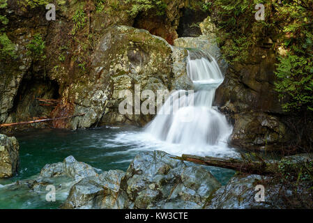 Twin falls in Lynn Canyon Park in North Vancouver, British Columbia, Canada Stock Photo