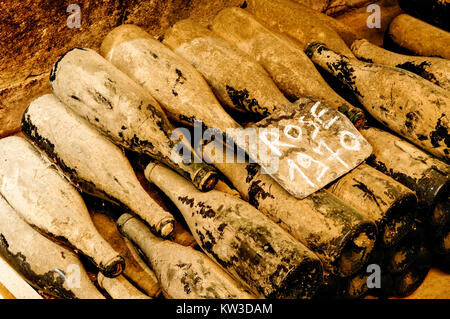 Old dusty wine bottles in the wine cellar Stock Photo