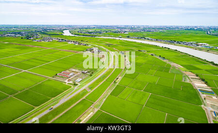 Rice Field, Minami-Ku, Niigata City, Niigata Prefecture, Japan Stock Photo