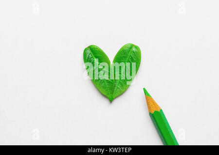 Heart Shape Cutout Green Leaves Love Stock Photo 558883639