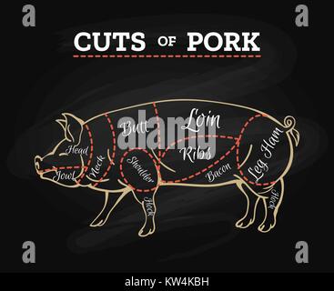 Pig butcher chalkboard scheme. Pork meat cut parts hand drawn diagram, pig steak cutting vector illustration Stock Vector
