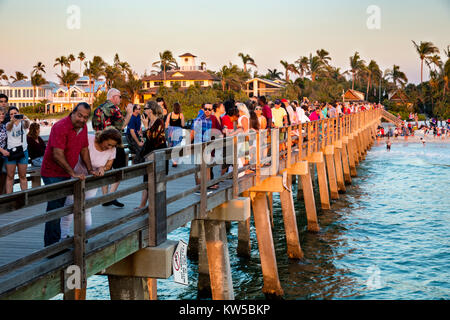 Crowded pier on Christmas day at sunset, Naples, Florida, USA Stock Photo