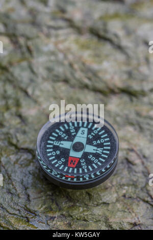 Button compass - metaphor business 'direction', navigation, moral compass, getting your bearings concept, orienteering + copy space. South direction Stock Photo