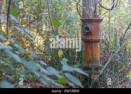 Abandonned Fire Hydrant from WWII Stock Photo