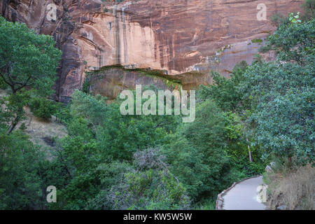 Prepared footpath of the Weeping Wall Hike in Zion National Park Stock Photo