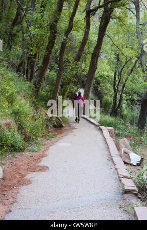 Prepared footpath of the Weeping Wall Hike in Zion National Park Stock Photo