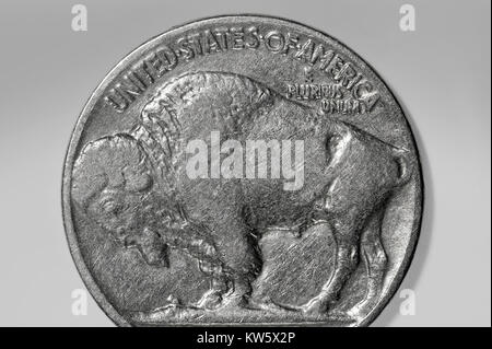 American Buffalo Nickel coin Stock Photo
