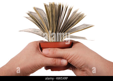 Conceptual image of dollars in a pot isolated on a white background. Stock Photo