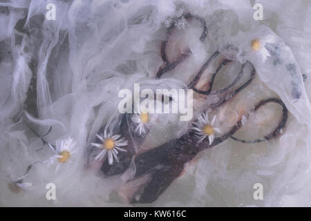 Pair of old vintage rusty scissors in the water among gauze cloth and a little white chamomile flowers, picture in a light key. Stock Photo