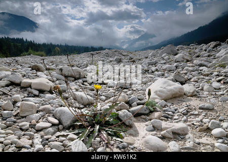 Tear brook in the cirque spiral, Rissbach im Karwendel Stock Photo