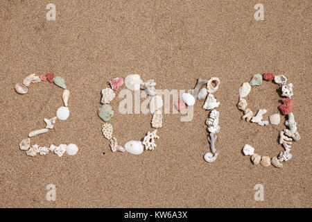 The word 2019 lmade from seashells on a sandy beach. Concept of future holidays Stock Photo