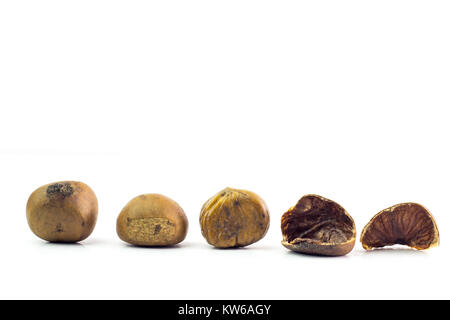 Bunch of horse chestnuts isolated on white background. Stock Photo