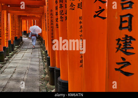 Japan, Honshu island, Kansai region, Kyoto, Arashiyama, Fushimi Inari-taisha Temple, Shinto sanctuary, torii lined alleys Stock Photo