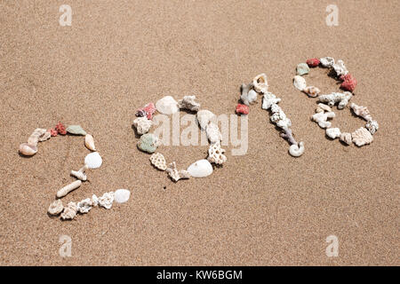 New Year 2018 is coming concept. inscription 2018 made from shells on a beach sand Stock Photo