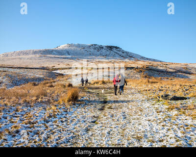 People walking with dogs towards Shutlingsloe hill in the snow the 3rd highest point in Cheshire at 506 meters seen from Wildboarclough Peak District Stock Photo