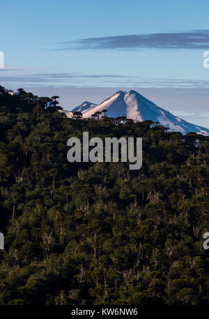 Volcán LLaima /LLaima Volcano, Araucania Region, Chile. Stock Photo