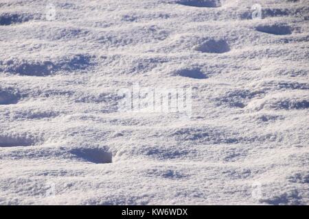 White pure snow texture, background of fresh snow texture, rough snowy surface Stock Photo