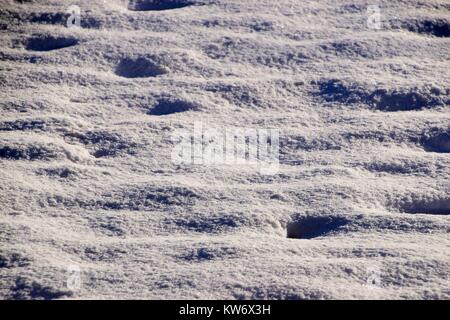White pure snow texture, background of fresh snow texture, rough snowy surface Stock Photo