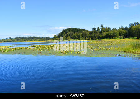 Beautiful Lake Terrell in the Pacific Northwest city of Ferndale, Washington, USA. Home to waterfowl and various fish.  Tournaments are held here. Stock Photo