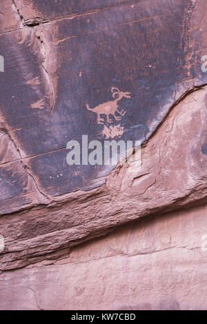 Carved Anasazi petroglyph representing an animal on a sandstone cliff, Monument Valley Navajo Tribal Park, Arizona-Utah, USA. Stock Photo