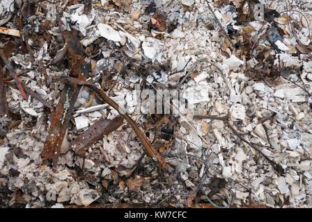 A pile of ash and rubble from a house, among the damage from the Tubbs wildfire in Santa Rosa, California, USA. Stock Photo