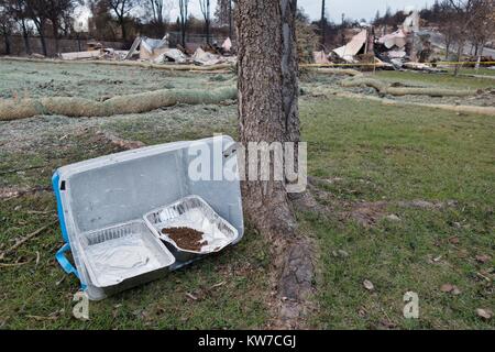 Cat food and water, left among the damage from the Tubbs wildfire in Santa Rosa, California, USA. Stock Photo