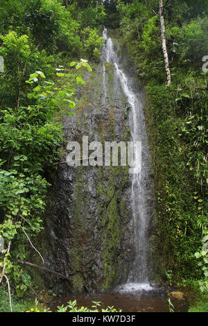 Lush & green landscape with Teharuru waterfall, tahiti, French Polynesia, South Pacific. Stock Photo