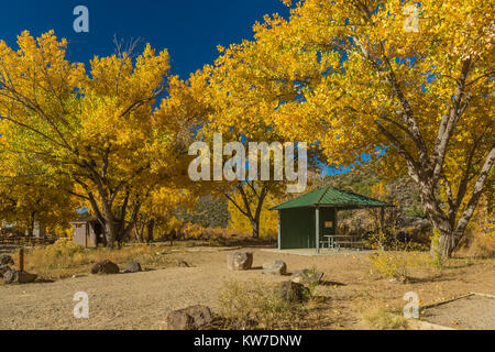 Facilities at Rio Bravo Campground in the Orilla Verde Recreation Area, in Rio Grande del Norte National Monument, near Pilar and Taos, New Mexico, US Stock Photo