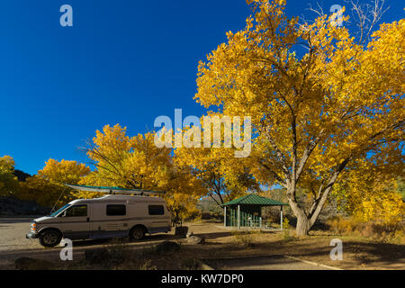 Campsites with cottonwoods in autumn color at Rio Bravo Campground in the Orilla Verde Recreation Area, in Rio Grande del Norte National Monument, nea Stock Photo