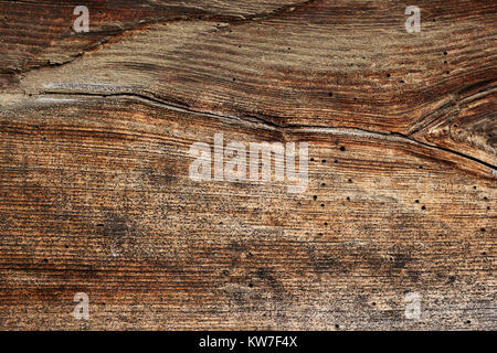 wood borers holes on spruce wooden plank, texture of weathered board Stock Photo