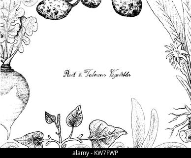 Root and Tuberous Vegetables, Illustration Frame of Hand Drawn Sketch of Turmeric, Skirret, Salsify Plants on White Background. Stock Vector