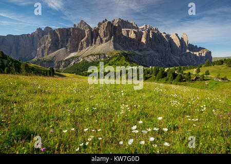 View on the Sella mountain group. Passo Gardena. Flowery meadow. The Dolomites. Italian Alps. Europe. Stock Photo