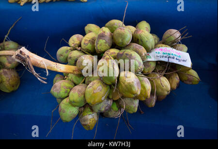indian agriculture,kerala agriculture,palakad paddy field,indian farmer,indian cultivation,farmer india,farming Stock Photo