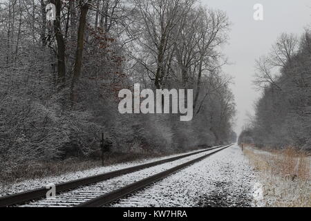 Railroad in a Michigan winter Stock Photo