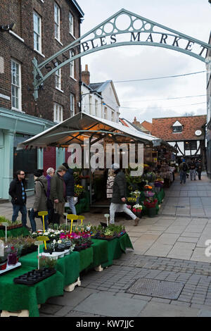 People walking past line of Shambles Market stalls & colourful display of flowers on sale on florist's stall - centre of York, Yorkshire, England, UK. Stock Photo