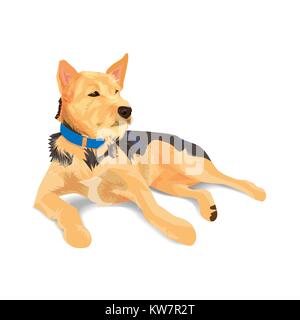 Hybrid brown dog wearing blue collar lying on white background,vector illustration Stock Vector