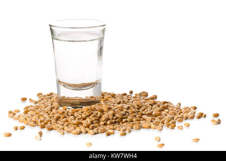 German hard liquor Korn Schnapps in shot glass with wheat grains over white background Stock Photo