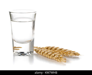 German hard liquor Korn Schnapps in shot glass with wheat ears over white background Stock Photo