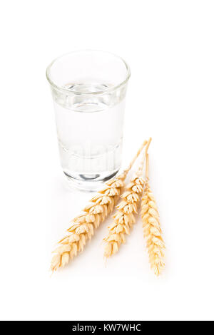 German hard liquor Korn Schnapps in shot glass with wheat ears over white background Stock Photo