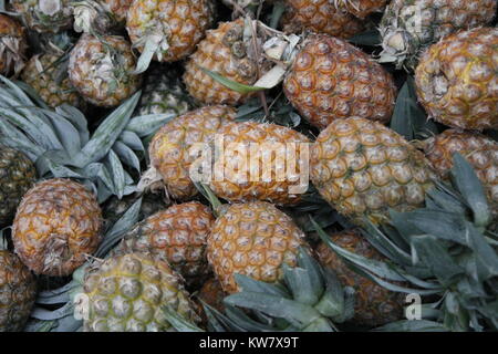 Pineapple - Bangladesh Stock Photo