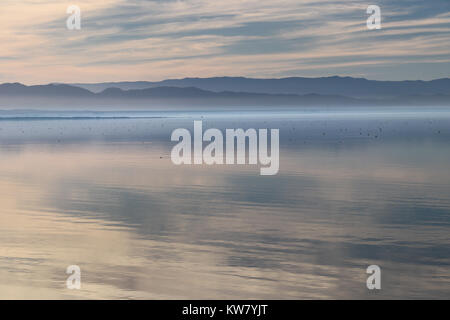 Beautiful Salton Sea in late afternoon, mirror-like surface reflecting the sky, clouds and mountains: many birds in distance. Tranquil, pastel light. Stock Photo