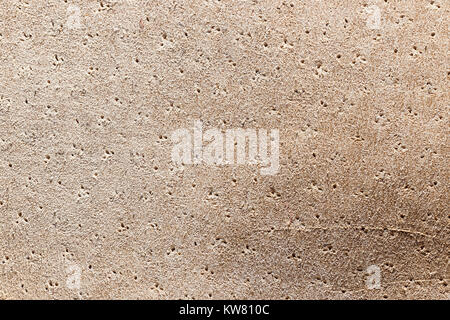 Chamois leather texture can use as natural background Stock Photo