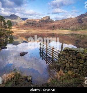 Blea Tarn during autumn, with Langdale Pikes in the background, Little Langdale, Lake District National Park, Cumbria, England, UK Stock Photo