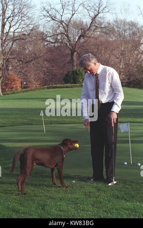 President William Jefferson Clinton and Buddy the Dog playing on the putting green on the south lawn of the White House, February 10, 1998. Stock Photo