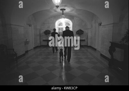 President Bill Clinton walks with back turned beside First Pet, Buddy the Dog, a mocha brown labrador, connected by a leash as they exit through a tiled corridor in the White House, accompanied by a security guard in a suit, Washington, District of Columbia, December 14, 1997. Stock Photo