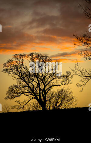 Rutland Water, UK. 31st December 2017, Drama and colour in the skies as the sunset on the last day of birding at Rutland water nature park. Credit: Clifford Norton/Alamy Live News Stock Photo